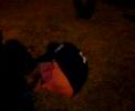 video de risa