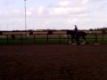 Moorfield Callum's training. Lesson with Marie Smith. October 2009.