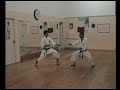 KARATE CALTANISSETTA TECNICHE DI KUMITE 4