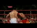 juan manuel marquez tribute 2