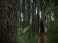 Bad Moon Music Video - Bad Moon - Flixster Video