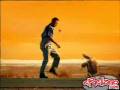 videos de beer turtle 2