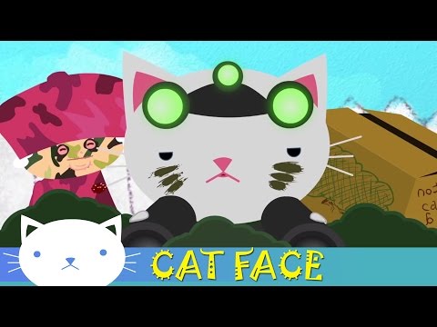 CAT FACE
