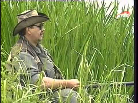 YouTube Трейлер