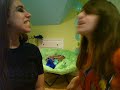 hannah anna