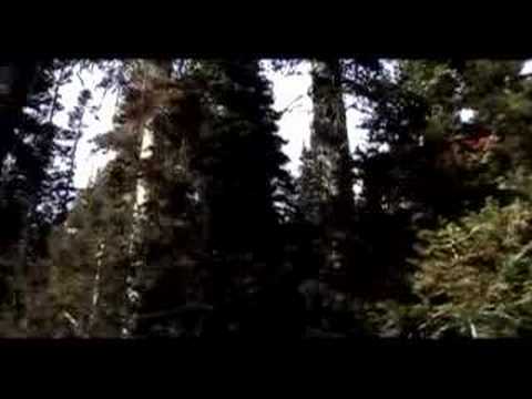 Rockwall Hike - Kootenay National Park