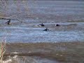 The Severn Bore March 07 The Severn Bore March 07