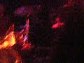 pretty-girls-make-graves-the-nocturnal-house.html