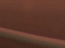 spore spying on my town