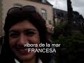 POLICROMIA en la vibora de la mar francia 2008