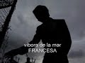 POLICROMIA en la vibora de la mar francia 2008