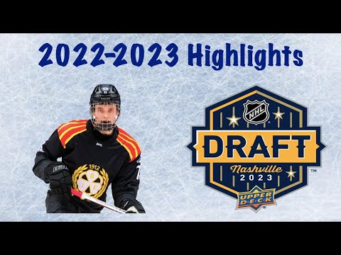 2023 NHL Draft : Theo Lindstein - 22-23 Highlights