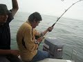 One Phatom Bank Barracuda- Enal