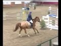 Lorenzo Barzaghi - gara di equitazione Lorenzo Barzaghi - gara di equitazione