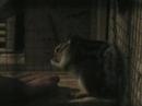 suzie-the-squirel.html
