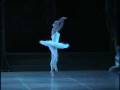videos de Anette Delgado - Ballet Nacional de Cuba - Swan Lake - 4