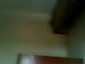 TEMPAT KINOY TEMPAT KINOY