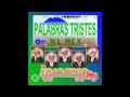 Los Traileros Del Norte Andale Video and Lyrics