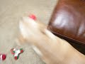 playing with dog playing with dog