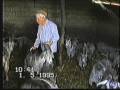 videos de CodeÃ§ais,Carrazeda Anciaes,Armindo Diogo