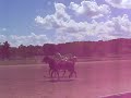 Green Pastures Farm- Drill Team Spring/Summer \