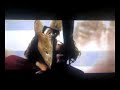 300 war scene 300 war scene