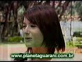 GUERRA DE TORCIDAS PELO BRASIL