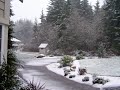 First snow in 2006 (at home)