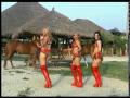 Grupo Deseo - El Guararey