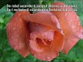 DACA... Rudyard Kippling Manele-Gratis.net