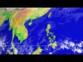 The 1991 typhoon season over the South China Sea