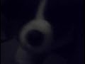 yoda bild a bear band