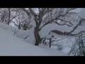 Voelkl-Snowboards in Japan 08