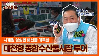 으랏차차 소상공인 | 대천항 종합수산물시장 투어 (feat.양재기)