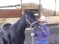Ranger's fourth week