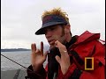 Watch 'Crittercam: Bubblenet Humpbacks'