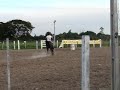Junior no rancho