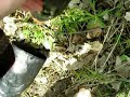 water in the wellies
