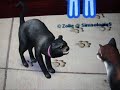 The Sims 2 Pets