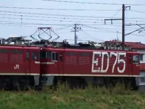 ED75＋トヨタロングパスエクスプレス