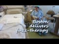 Boston Therapy 2