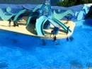 HongKong Ocean park 31