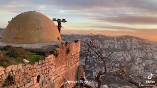  | موسوعة التراث الفلسطيني