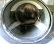 Miele W701 Wool rithm