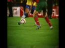 fenta carel-a facut celebru