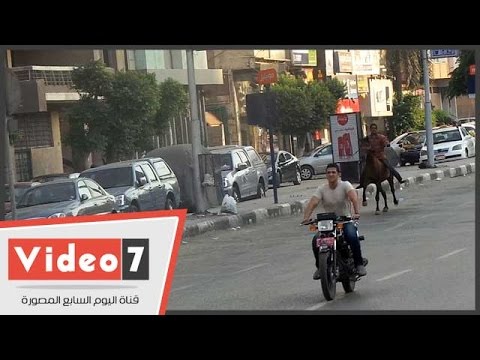 بالفيديو.. شاهد استعراضات بهلوانية بالموتوسيكلات والخيول فى «جامعة الدول»