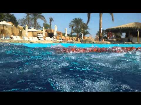 how to fix galaxy s'camera