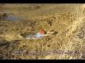Stuck-in-mud-Pulled-