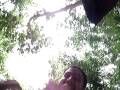 videos de MOV01892