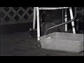 8 Racoons Playing